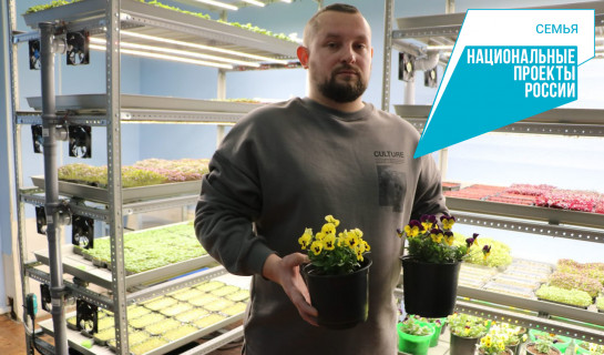 Рукола, базилик, горох и горчица – житель Новосибирска открыл успешный бизнес на микрозелени благодаря соцконтракту